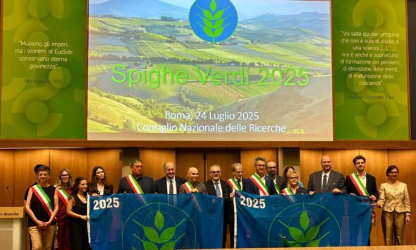 https://www.quotidianopiemontese.it/wp-content/uploads/2025/07/piemonte-spighe-verdi-2025-590x354.jpg