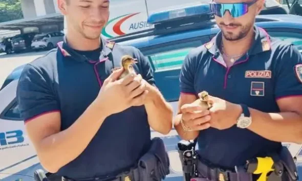 https://www.quotidianopiemontese.it/wp-content/uploads/2025/07/pulcini-polizia-torino-savona-590x354.webp