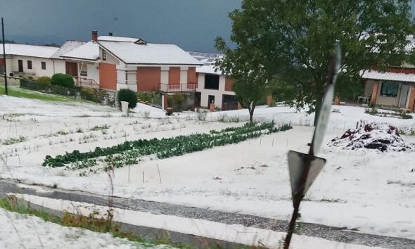 https://www.quotidianopiemontese.it/wp-content/uploads/2025/09/grandine-san-donato-e1758730668782-590x354.jpg