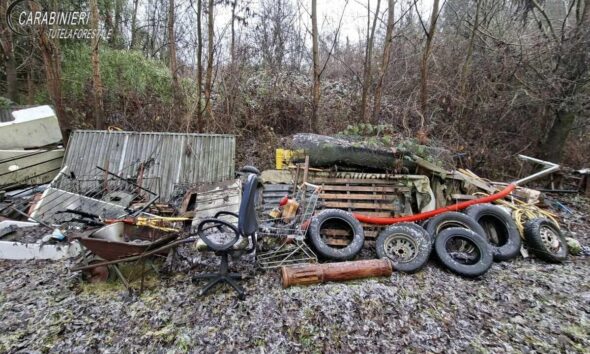 https://www.quotidianopiemontese.it/wp-content/uploads/2026/02/discarica-abusiva-area-boschiva-gassino-torinese-carabinieri-2-590x354.jpeg