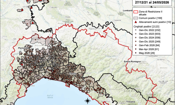 https://www.quotidianopiemontese.it/wp-content/uploads/2026/05/2026_05_24_positivi_psa_piemonte_liguria-590x354.png