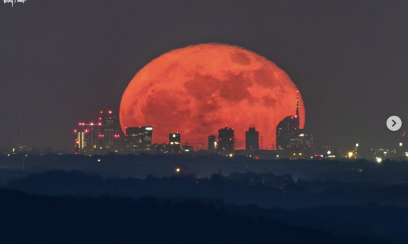 https://www.quotidianopiemontese.it/wp-content/uploads/2026/05/luna-rossa-dietro-i-grattacieli-di-Milano-Valerio-Minato-590x354.png