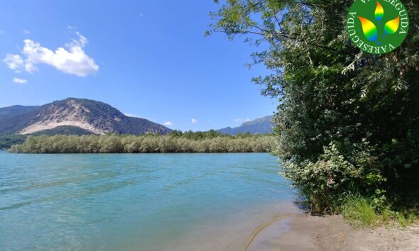 https://www.quotidianopiemontese.it/wp-content/uploads/2026/05/spiaggia-di-fondotoce-590x354.jpg