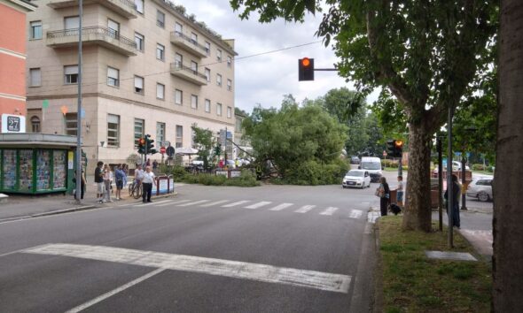 https://www.quotidianopiemontese.it/wp-content/uploads/2026/06/albero-caduto-nocara-qp-4-590x354.jpg