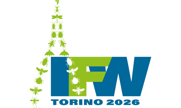 https://www.quotidianopiemontese.it/wp-content/uploads/2026/06/media-60-1-590x354.png