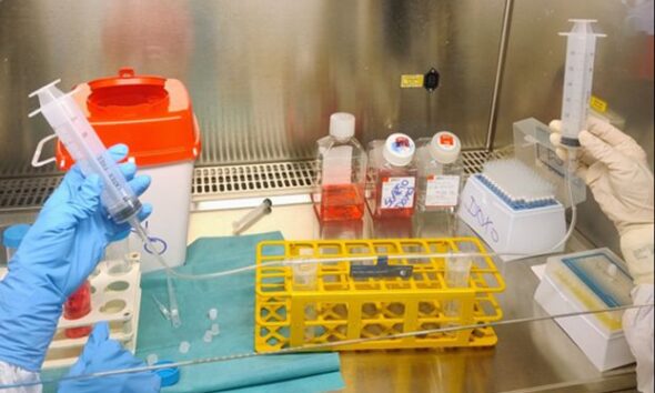 https://www.quotidianopiemontese.it/wp-content/uploads/2026/06/oirm_-laboratorio-terapia-sarcomi-ossei-590x354.jpeg