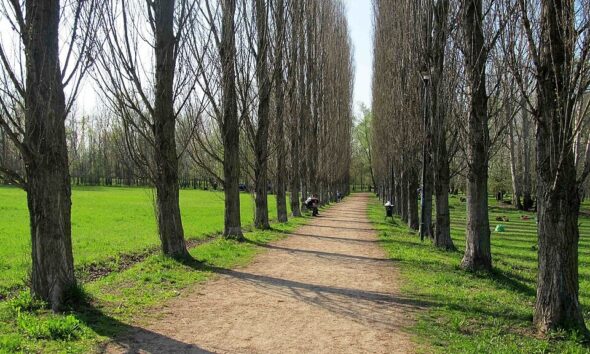 https://www.quotidianopiemontese.it/wp-content/uploads/2026/06/parco-meisino-590x354.jpg