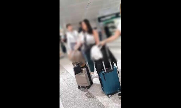 https://www.quotidianopiemontese.it/wp-content/uploads/2026/06/professoressa-torino-fermata-malpensa-590x354.jpg
