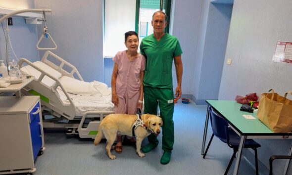 https://www.quotidianopiemontese.it/wp-content/uploads/2026/07/67enne-autotrapianto-occhio-e-cane-Joe-590x354.jpg