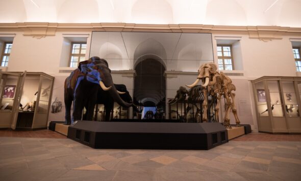 https://www.quotidianopiemontese.it/wp-content/uploads/2026/07/Museo-delle-Scienze-Naturali-2-590x354.jpeg