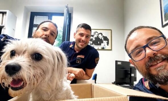 https://www.quotidianopiemontese.it/wp-content/uploads/2026/07/cane-polizia-di-stato-590x354.jpeg