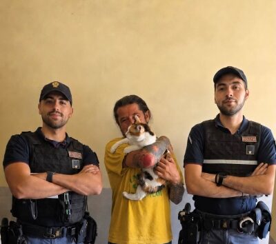 https://www.quotidianopiemontese.it/wp-content/uploads/2026/07/gattino-noah-intrappolato-in-garage-e-torino-400x354.jpg