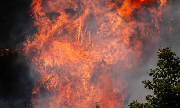 https://www.quotidianopiemontese.it/wp-content/uploads/2026/07/incendio-piemonte-vuolo-590x354.png