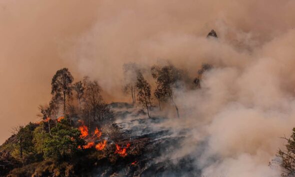 https://www.quotidianopiemontese.it/wp-content/uploads/2026/07/incendio-val-ossola-590x354.jpg