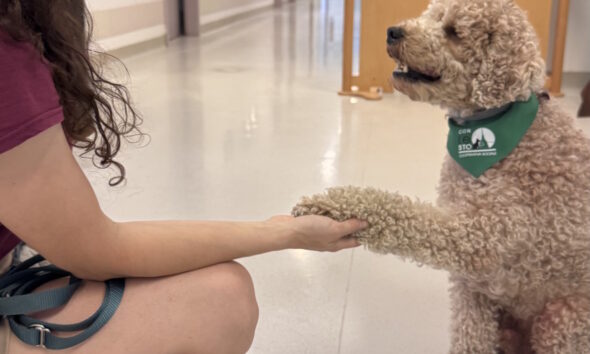 https://www.quotidianopiemontese.it/wp-content/uploads/2026/07/pet-therapy-ospedale-asti-1-590x354.jpeg