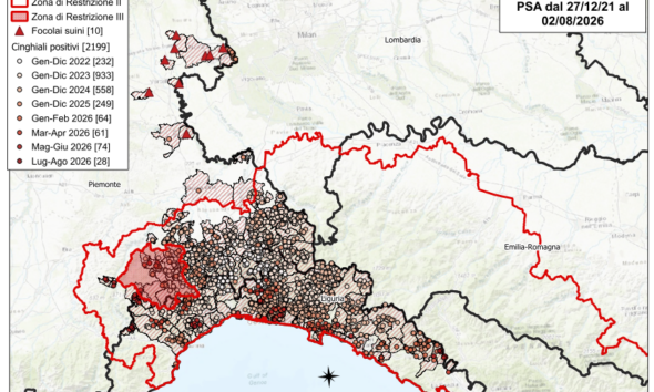https://www.quotidianopiemontese.it/wp-content/uploads/2026/08/2026_08_02_positivi_psa_piemonte_liguria-590x354.png