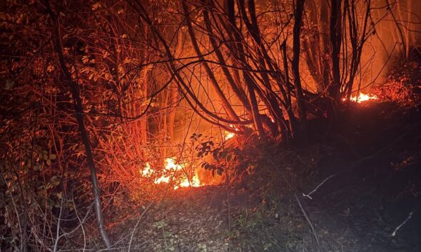 https://www.quotidianopiemontese.it/wp-content/uploads/2026/08/cimamulera-incendio-e1786616695892-590x354.jpg