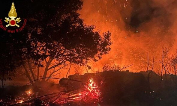 https://www.quotidianopiemontese.it/wp-content/uploads/2026/08/incendi-vco-590x354.jpg