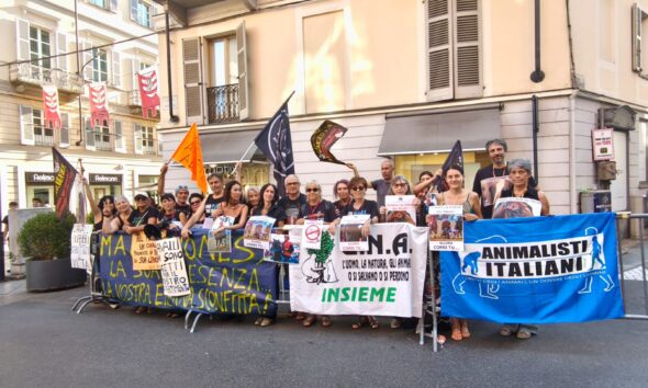 Ad Asti il presidio degli animalisti contro il Palio
