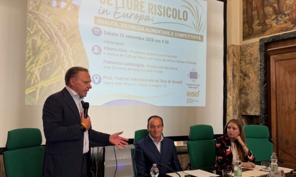 https://www.quotidianopiemontese.it/wp-content/uploads/2026/09/riso-590x354.jpg