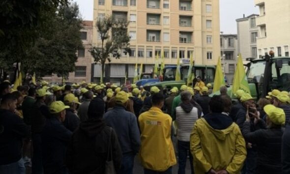 https://www.quotidianopiemontese.it/wp-content/uploads/2026/10/Flash-Mob-2-590x354.jpg