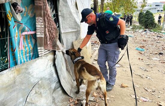 https://www.quotidianopiemontese.it/wp-content/uploads/2026/10/barriera-milano-cinofili-polizia-parco-sempione-torino-550x354.jpg